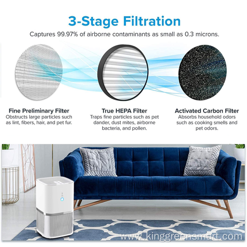 True HEPA Filter Air Purifier with 3 Filters